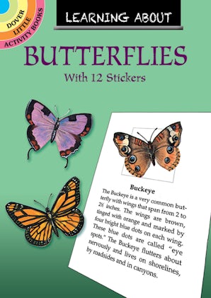Learning About Butterflies