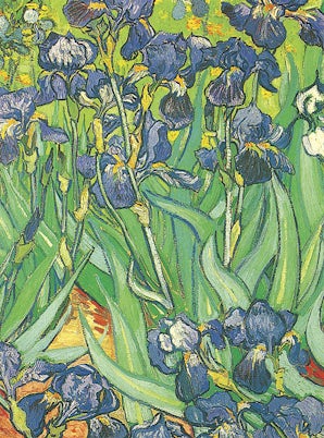 Van Gogh Notebook