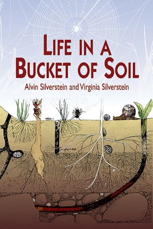 Life in a Bucket of Soil