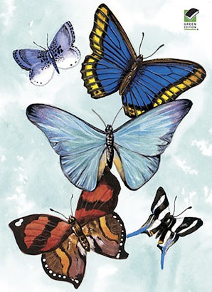 Butterfly Notebook