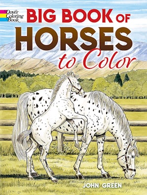 Big Book of Horses to Color