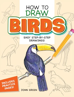 How to Draw Birds