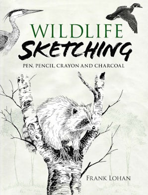 Wildlife Sketching