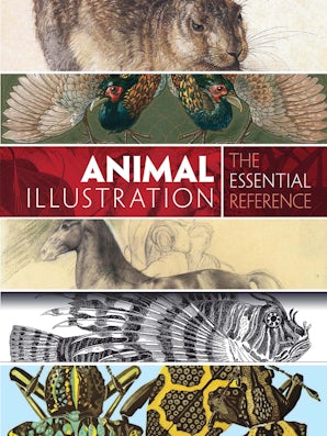 Animal Illustration: The Essential Reference