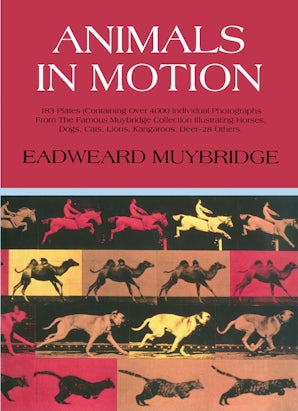 Animals in Motion