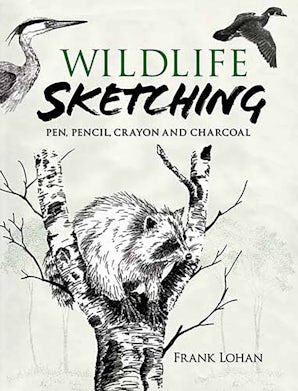 Wildlife Sketching