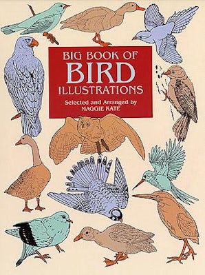 Big Book of Bird Illustrations