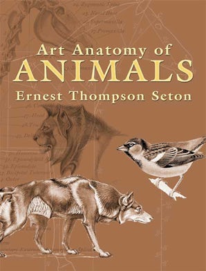 Art Anatomy of Animals