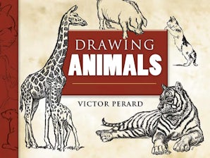 Drawing Animals