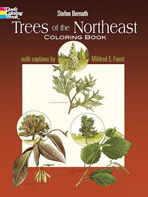 Trees of the Northeast Coloring Book