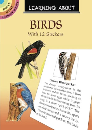 Learning About Birds