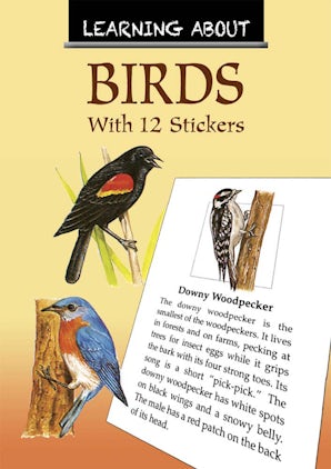 Learning About Birds