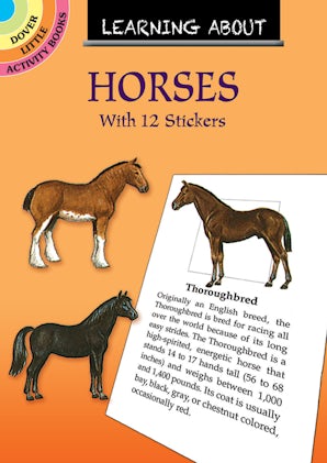 Learning About Horses