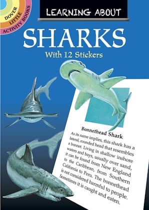 Learning About Sharks