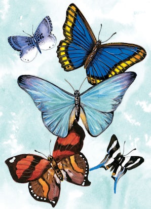Butterfly Notebook