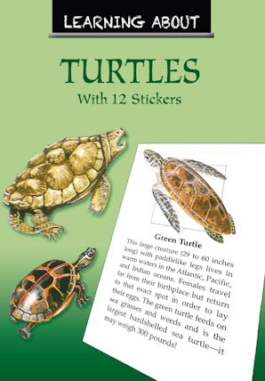 Learning About Turtles