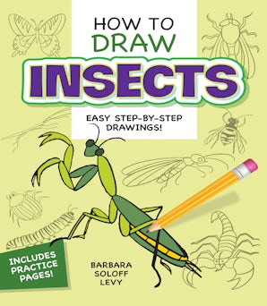 How to Draw Insects