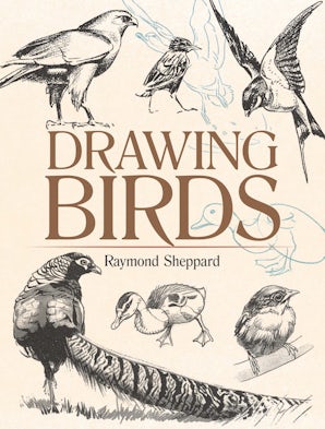 Bird Sketches(バード・スケッチズ) 9780486828183.jpg?v=1718128378
