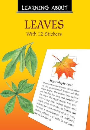 Learning About Leaves