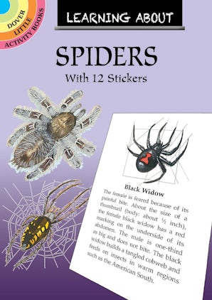Learning About Spiders – Dover Publications