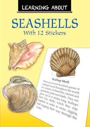 Learning About Seashells – Dover Publications