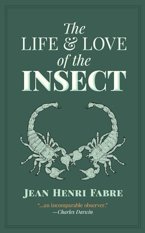 The Life and Love of the Insect