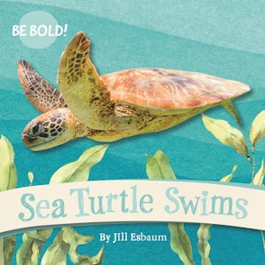 Sea Turtle Swims
