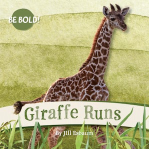 Giraffe Runs!