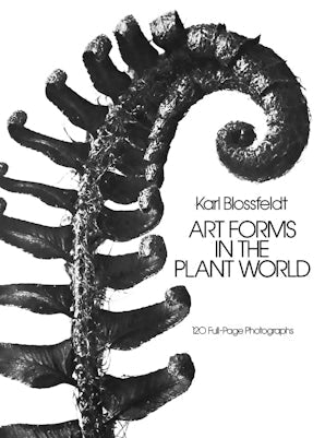 アート・デザイン・音楽 90s Karl Blossfeldt art book Art Forms in the Plant World – Dover Publications