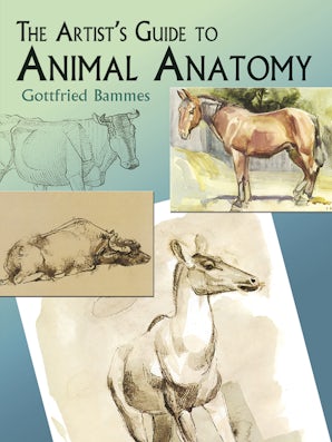 The Artist's Guide to Animal Anatomy – Dover Publications