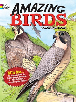 Amazing Birds Coloring Book