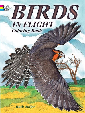 Birds in Flight Coloring Book