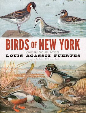 Birds of New York – Dover Publications