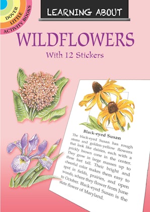 Learning About Wildflowers