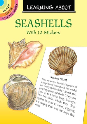 Learning About Seashells