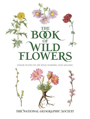 The Book of Wild Flowers – Dover Publications