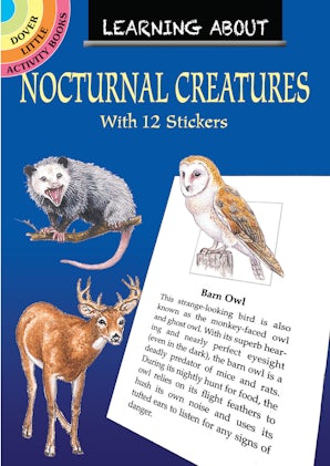Learning About Nocturnal Creatures